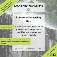 Rainwater Harvesting Tips BYG 10